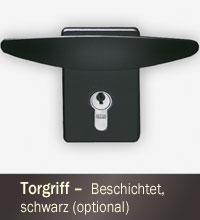 Torgriff-Schwarz
